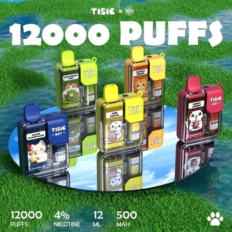 TISIC 貓咪 12000 Puffs 拋棄式電子煙｜大容量一次性主機｜智能顯示螢幕｜一次性 VAPE-台灣現貨